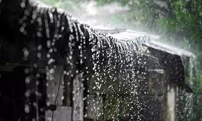 Heavy Rainfall Predicted Across Assam Today - Sentinelassam