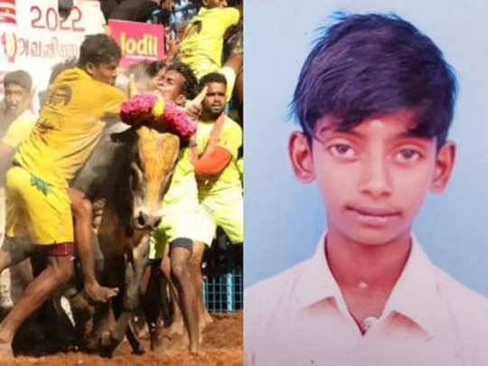 Jallikattu